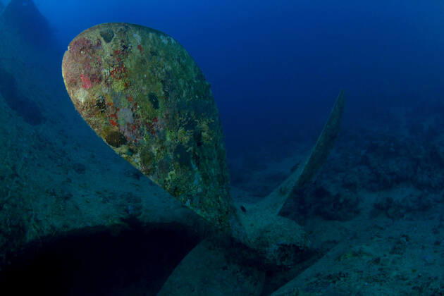 Old damaged sunken ship and on sandy bottom of blue Red Sea with reef fish ArturoVigil_RedSea_67.jpg Copyright: xArturoxVigilx Model Released
