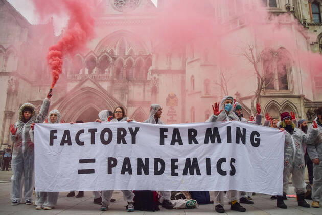 Bilder des Jahres 2022, News 01 Januar News Themen der Woche KW04 News Bilder des Tages January 25, 2022, London, United Kingdom: Activists wearing hazmat suits and with hands covered in fake blood hold a Factory Farming = Pandemic banner and a smoke flare during the protest..Animal rights activists gathered outside the Royal Courts of Justice in protest against factory farming, as the Scrap Factory Farming group launched its legal challenge against the Department for Environment, Food and Rural Affairs (DEFRA) for failing to take adequate precautions against the known pandemic risks of factory farming. London United Kingdom - ZUMAs197 20220125_zaa_s197_021 Copyright: xVukxValcicx