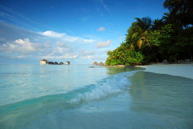 maldives landscape ocean palm sky Copyright: xx 2691619
