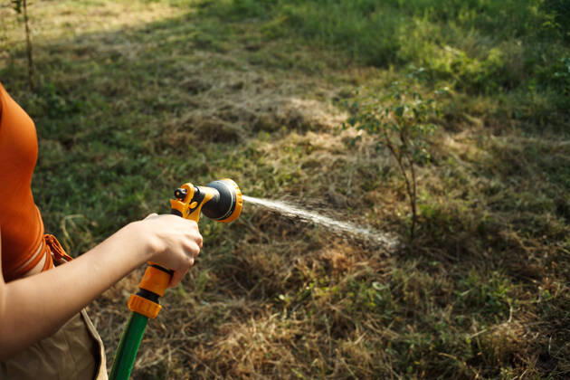 IMAGO Creative: Ende des Sommers woman watering plants in the garden nature growing woman watering plants in the garden nature growing. High quality photo Copyright: xx 41967376