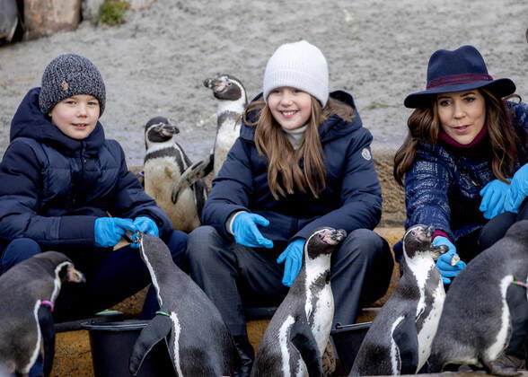 Bilder des Jahres 2022, Entertainment 02 Februar Entertainment Themen der Woche KW05 Entertainment Bilder des Tages 02-02-2022 Zoo Princess Mary and Prince Vincent and Princess Josephine visited the Copenhagen Zoo and the Mary s Australian Garden in Stockholm. Â  Copyright: xPPEx