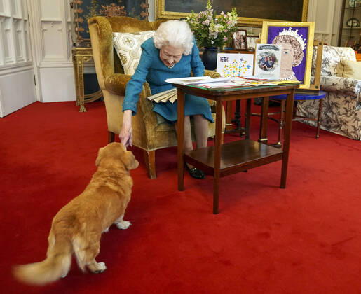 . 04 02 2022. Windsor, United Kingdom. Queen Elizabeth II is joined by one of her dogs, a Dorgi called Candy, as she views a display of memorabilia and cards from her Golden and Platinum Jubilees at Windsor Castle, as she marks her 70th year on the throne on Sunday 6th February.  xPoolx xi-Imagesx IIM-23074-0002