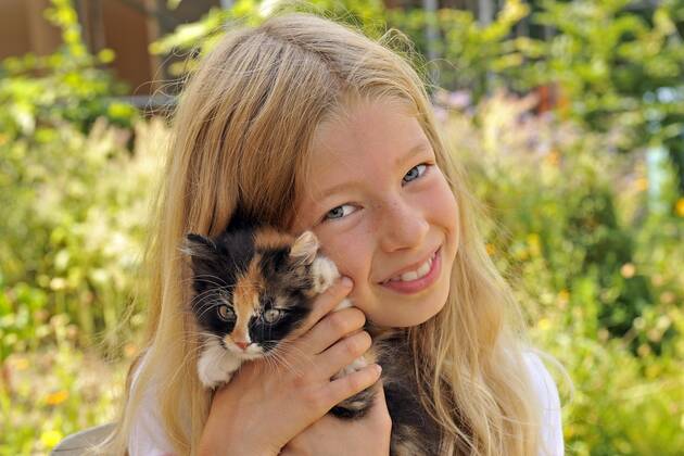 Hauskatze, Haus-Katze (Felis silvestris f. catus), kleines blondes Maedchen haelt gluecklich ein Kaetzchen in den Haenden, Portraet domestic cat, house cat (Felis silvestris f. catus), little blonde girl happily holding a kitten in her hands, portrait BLWS661197