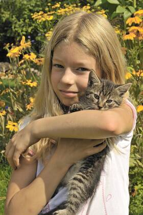Hauskatze, Haus-Katze (Felis silvestris f. catus), kleines blondes Maedchen haelt gluecklich ein Kaetzchen auf dem Arm domestic cat, house cat (Felis silvestris f. catus), little blonde girl happily holding a kitten on her arm BLWS661198