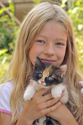 Hauskatze, Haus-Katze (Felis silvestris f. catus), kleines blondes Maedchen haelt gluecklich ein Kaetzchen in den Haenden, Portraet domestic cat, house cat (Felis silvestris f. catus), little blonde girl happily holding a kitten in her hands, portrait BLWS661199