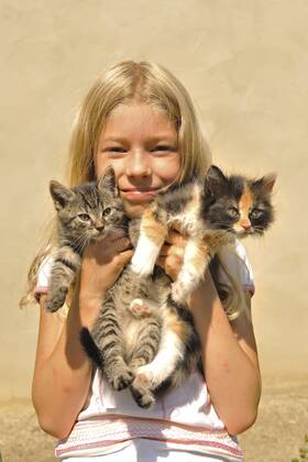 Hauskatze, Haus-Katze (Felis silvestris f. catus), kleines blondes Maedchen haelt gluecklich zwei Kaetzchen in den Haenden domestic cat, house cat (Felis silvestris f. catus), little blonde girl happily holding two kitten in her hands BLWS661200
