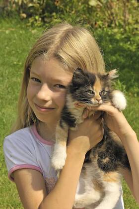 Hauskatze, Haus-Katze (Felis silvestris f. catus), kleines blondes Maedchen haelt gluecklich ein Kaetzchen in den Haenden, Portraet domestic cat, house cat (Felis silvestris f. catus), little blonde girl happily holding a kitten in her hands, portrait BLWS661206