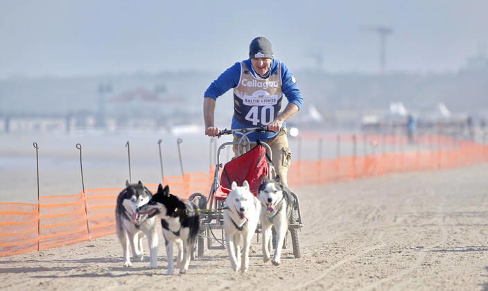 Andreas Hoppe Baltic Lights Schlittenhunderennen am 11. März 2017 am Strand von Heringsdorf