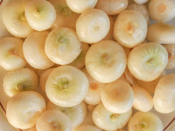 Onion (Allium cepa) also known as garden or bulb onion, model released, , property released, , 10444166.jpg, onions, onion, allium, cepa, also, known, garden, bulb, cuisine, nutrition, red, white,