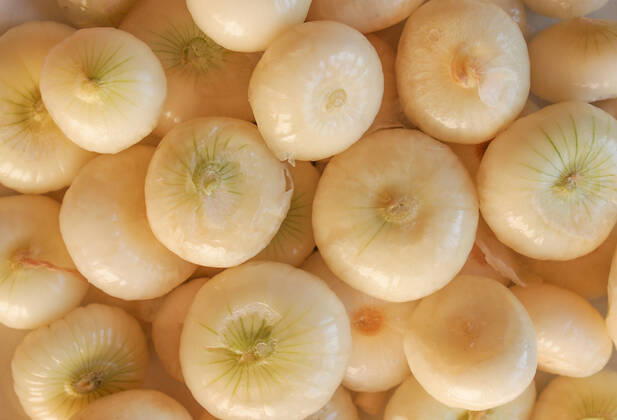 Onion (Allium cepa) also known as garden or bulb onion, model released, , property released, , 10453582.jpg, onions, onion, allium, cepa, also, known, garden, bulb, cuisine, nutrition, red, white,