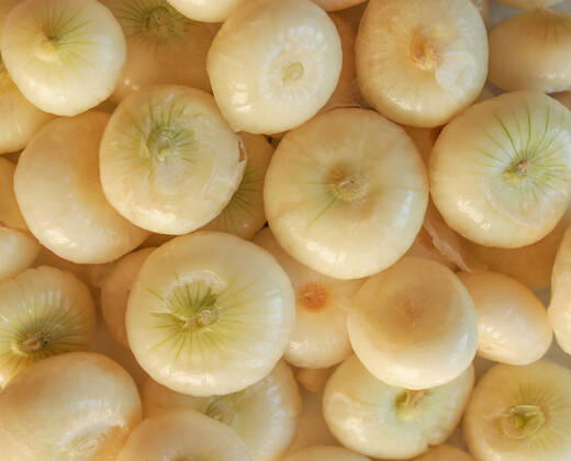 Onion (Allium cepa) also known as garden or bulb onion, model released, , property released, , 10470166.jpg, onions, onion, allium, cepa, also, known, garden, bulb, cuisine, nutrition, red, white,
