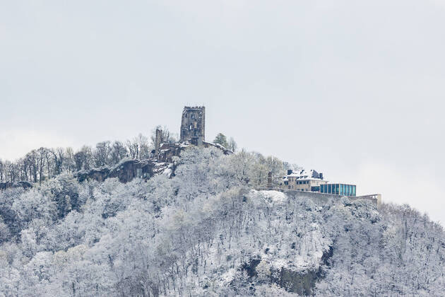 Bilder des Jahres 2022, News 04 April News Themen der Woche KW13 Der schneebedeckte Drachenfels - Das Aprilwetter sorgte für reichlichen Schneefall über dem Bonner Rheintal in Höhe des Rodderbergs in Sichtweite des Siebengebirges. Mehrere Zentimeter Schnee sind in der Nacht auf den Samstag bis in das bereits erblühte Flachland gefallen. 02.04.2022 Bonn Mehlem NRW Deutschland
