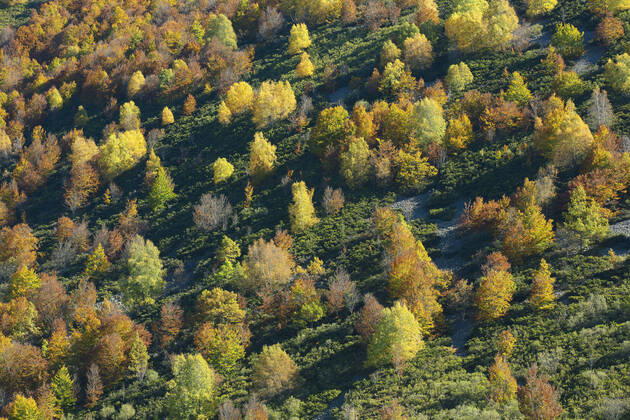IMAGO Creative: Ende des Sommers Herbststimmung im Picos de Europa Nationalpark, Spanien, Kantabrien, Picos de Europa Nationalpark Autumn in Picos de Europa national park, Spain, Cantabria, Picos De Europa National Park BLWS665875