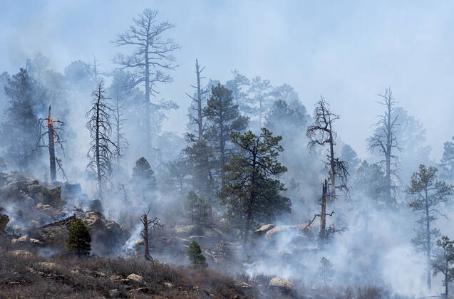 USA, Waldbrand in New Mexico April 27, 2022, USA: Hermit Peak Fire buring near the San Miguel and Mora County line north of Sapello, Wednesday, April 26, 2022. USA - ZUMAab1_ 20220427_zaf_ab1_013 Copyright: xEddiexMoorex