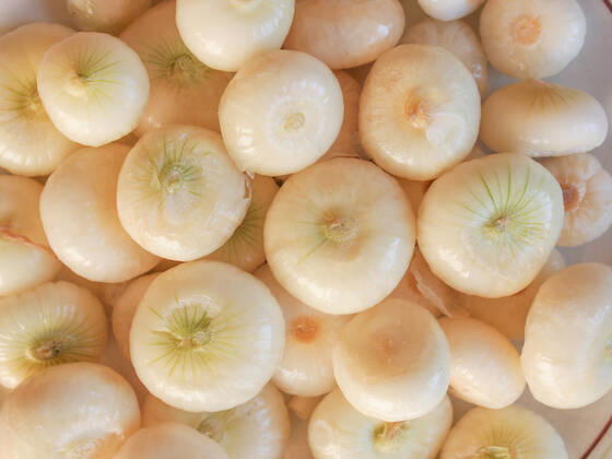 Onion (Allium cepa) also known as garden or bulb onion , 10499880.jpg, onions, onion, allium, cepa, also, known, garden, bulb, cuisine, nutrition, red, white,