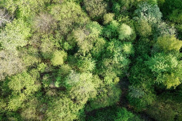 Luftaufnahme. Ein wunderbarer Fruehlingstag im Siegerland. Der Wald zeigt sich bei Siegen in sattem gruen. Die Baumkronen ragen in den Himmel. Fruehling im Siegerland am 02.05.2022 in Siegen Deutschland.