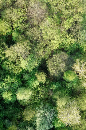 Luftaufnahme. Ein wunderbarer Fruehlingstag im Siegerland. Der Wald zeigt sich bei Siegen in sattem gruen. Die Baumkronen ragen in den Himmel. Fruehling im Siegerland am 02.05.2022 in Siegen Deutschland.