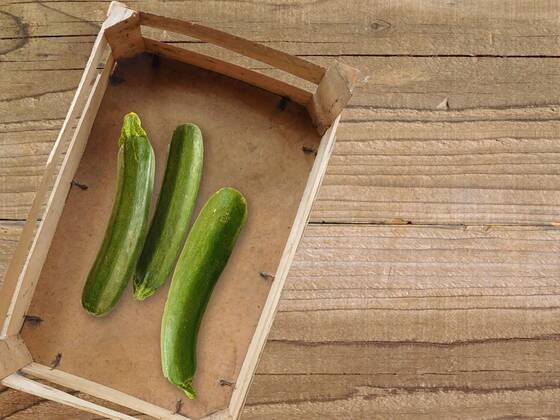 zucchini , 26230626.jpg, italian, vegan, eating, produce, raw, courgette, ingredient, top view, overhead, food, market, autumn, fresh, veggies, pumpkin, garden, farmer, background, healthy, wooden, green, harvest, summer, agriculture, eco, supermarket, local, vegetables, seasonal, bio, zucchini, rustic, squash, wood, diet, organic, table, farm, vegetarian, fall, farming, above, basket,