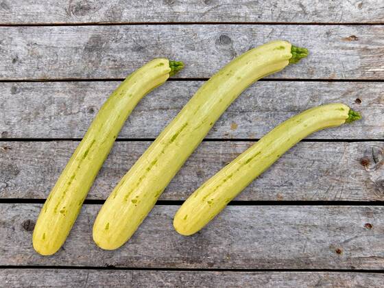 zucchini , 26231108.jpg, italian, vegan, eating, produce, raw, courgette, ingredient, top view, overhead, food, market, autumn, fresh, veggies, pumpkin, garden, farmer, background, healthy, wooden, green, harvest, summer, agriculture, eco, supermarket, local, vegetables, seasonal, bio, zucchini, rustic, squash, wood, diet, organic, table, farm, vegetarian, fall, farming, above, basket,