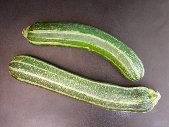 zucchini , 26232020.jpg, italian, vegan, eating, produce, raw, courgette, ingredient, top view, overhead, food, market, autumn, fresh, veggies, pumpkin, garden, farmer, background, healthy, wooden, green, harvest, summer, agriculture, eco, supermarket, local, vegetables, seasonal, bio, zucchini, rustic, squash, wood, diet, organic, table, farm, vegetarian, fall, farming, above, basket,