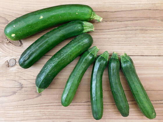 zucchini , 26232640.jpg, italian, vegan, eating, produce, raw, courgette, ingredient, top view, overhead, food, market, autumn, fresh, veggies, pumpkin, garden, farmer, background, healthy, wooden, green, harvest, summer, agriculture, eco, supermarket, local, vegetables, seasonal, bio, zucchini, rustic, squash, wood, diet, organic, table, farm, vegetarian, fall, farming, above, basket,