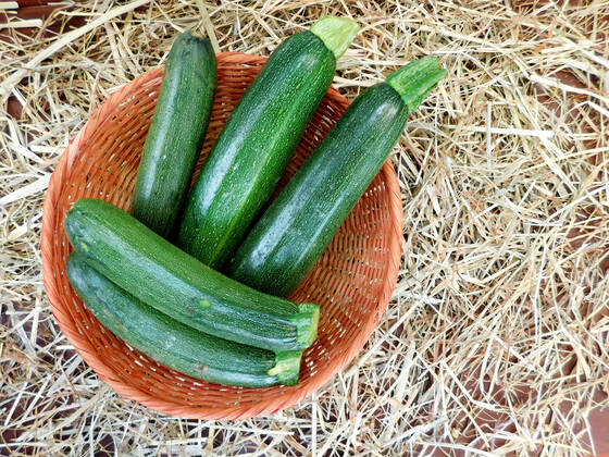 zucchini , 26233648.jpg, italian, vegan, eating, produce, raw, courgette, ingredient, top view, overhead, food, market, autumn, fresh, veggies, pumpkin, garden, farmer, background, healthy, wooden, green, harvest, summer, agriculture, eco, supermarket, local, vegetables, seasonal, bio, zucchini, rustic, squash, wood, diet, organic, table, farm, vegetarian, fall, farming, above, basket,