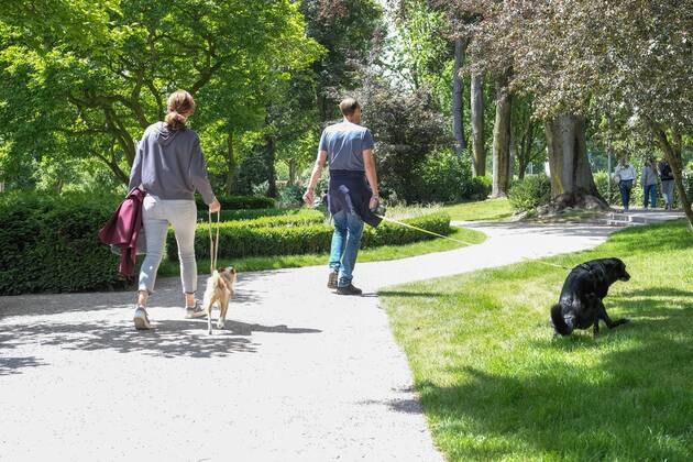 Düsseldorf 28.05.2022 Hund Hunde Gassi gehen gassigehen Spaziergänger spazieren Spaziergang Hundekot Hundekotbeutel Kotbeutel Düsseldorf Nordrhein-Westfalen Deutschland