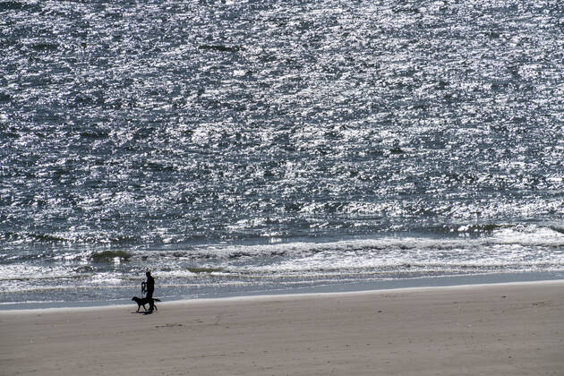 Spaziergänger am Strand bei Zoutelande Provinz Zeeland, Halbinsel Walcheren, Niederlande, Strand Zeeland