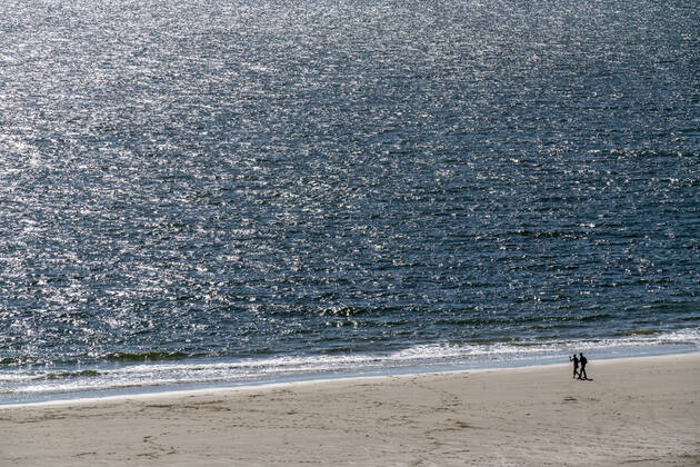 Spaziergänger am Strand bei Zoutelande Provinz Zeeland, Halbinsel Walcheren, Niederlande, Strand Zeeland