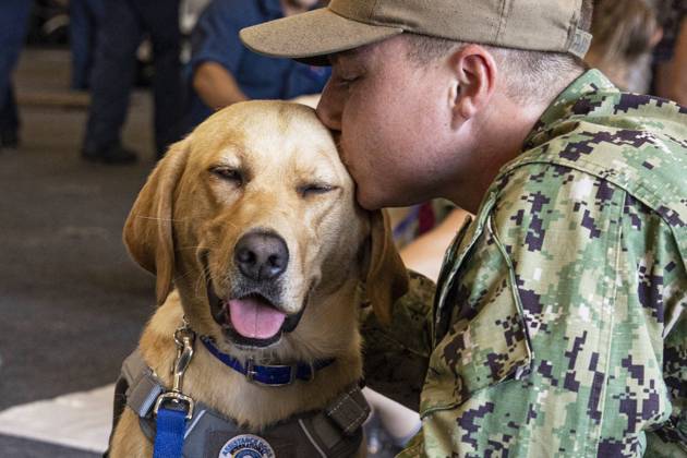 July 13, 2022 - Norfolk, Virginia, USA - A Sailor kisses a dog, brought on by Mutts With a Mission, aboard the Nimitz-class aircraft carrier USS George H.W. Bush (CVN 77), July 13, 2022. The George H.W. Bush Carrier Strike Group is an integrated combat weapons system that delivers superior combat capability to deter, and if necessary, defeat America s adversaries in support of national security. Norfolk USA - ZUMAz03_ 20220713_stw_z03_481 Copyright: xU.S.xNavyx