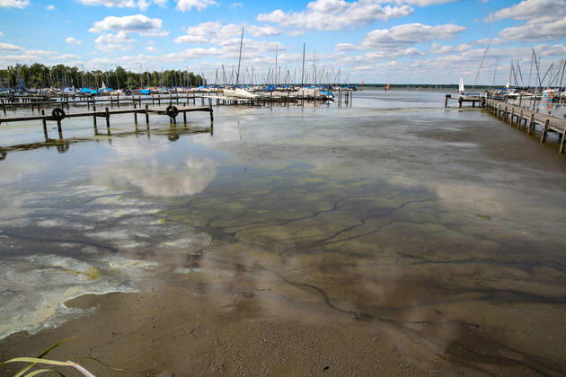 Niedersachsen, Hannover, Ausflugsziel Steinhuder Meer, Urlaub, Steinhude, Wasserspiegel des Steinhuder Meeres immer noch viel zu niedrig, Blaualgen ,