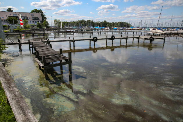 Niedersachsen, Hannover, Ausflugsziel Steinhuder Meer, Urlaub, Steinhude, Wasserspiegel des Steinhuder Meeres immer noch viel zu niedrig, Blaualgen ,