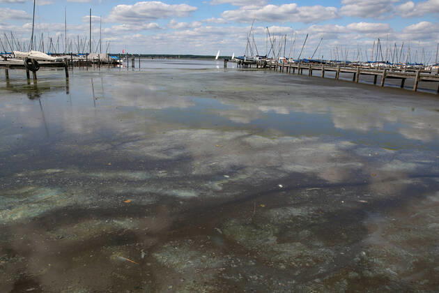 Niedersachsen, Hannover, Ausflugsziel Steinhuder Meer, Urlaub, Steinhude, Wasserspiegel des Steinhuder Meeres immer noch viel zu niedrig, Blaualgen ,