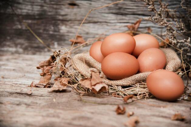  In selective of eggs on hemp cloth and cover with dried leaves,blurry light design background., In selective of eggs on hemp cloth and cover with dried leaves,blurry light design background., 29.05.2020 05:54:21, Copyright: xWatcharinx Panthermedia28483097.jpg
