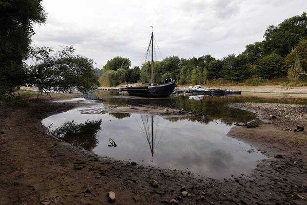 Der Rhein bei extremen Niedrigwasser: Bei Bad Honnef Rhöndorf, unterhalb des Drachenfels, liegt nicht nur das historische Rheinschiff Aalschokker Aranka im Altrheinarm an der Insel Grafenwerth auf Grund. Das Wasser in dem Seitenarm des Rhein ist so weit zurückgegangen, dass einige Boote, Kutter und Segelschiffe auf dem Trockenen liegen. (Themenbild, Symbolbild) Bonn, 16.08.2022 NRW Deutschland Copyright: xChristophxHardtx