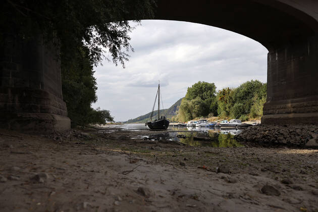 Der Rhein bei extremen Niedrigwasser: Bei Bad Honnef Rhöndorf, unterhalb des Drachenfels, liegt nicht nur das historische Rheinschiff Aalschokker Aranka im Altrheinarm an der Insel Grafenwerth auf Grund. Das Wasser in dem Seitenarm des Rhein ist so weit zurückgegangen, dass einige Boote, Kutter und Segelschiffe auf dem Trockenen liegen. (Themenbild, Symbolbild) Bonn, 16.08.2022 NRW Deutschland Copyright: xChristophxHardtx