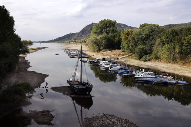 Der Rhein bei extremen Niedrigwasser: Bei Bad Honnef Rhöndorf, unterhalb des Drachenfels, liegt nicht nur das historische Rheinschiff Aalschokker Aranka im Altrheinarm an der Insel Grafenwerth auf Grund. Das Wasser in dem Seitenarm des Rhein ist so weit zurückgegangen, dass einige Boote, Kutter und Segelschiffe auf dem Trockenen liegen. (Themenbild, Symbolbild) Bonn, 16.08.2022 NRW Deutschland Copyright: xChristophxHardtx