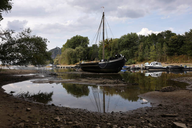 Der Rhein bei extremen Niedrigwasser: Bei Bad Honnef Rhöndorf, unterhalb des Drachenfels, liegt nicht nur das historische Rheinschiff Aalschokker Aranka im Altrheinarm an der Insel Grafenwerth auf Grund. Das Wasser in dem Seitenarm des Rhein ist so weit zurückgegangen, dass einige Boote, Kutter und Segelschiffe auf dem Trockenen liegen. (Themenbild, Symbolbild) Bonn, 16.08.2022 NRW Deutschland Copyright: xChristophxHardtx