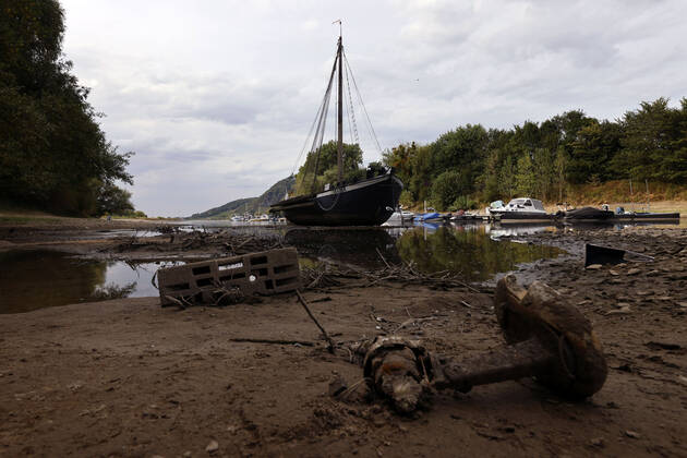 Der Rhein bei extremen Niedrigwasser: Bei Bad Honnef Rhöndorf, unterhalb des Drachenfels, liegt nicht nur das historische Rheinschiff Aalschokker Aranka im Altrheinarm an der Insel Grafenwerth auf Grund. Das Wasser in dem Seitenarm des Rhein ist so weit zurückgegangen, dass einige Boote, Kutter und Segelschiffe auf dem Trockenen liegen. (Themenbild, Symbolbild) Bonn, 16.08.2022 NRW Deutschland Copyright: xChristophxHardtx