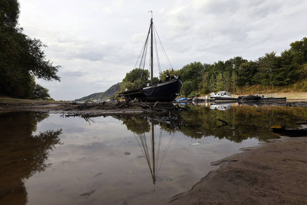 Der Rhein bei extremen Niedrigwasser: Bei Bad Honnef Rhöndorf, unterhalb des Drachenfels, liegt nicht nur das historische Rheinschiff Aalschokker Aranka im Altrheinarm an der Insel Grafenwerth auf Grund. Das Wasser in dem Seitenarm des Rhein ist so weit zurückgegangen, dass einige Boote, Kutter und Segelschiffe auf dem Trockenen liegen. (Themenbild, Symbolbild) Bonn, 16.08.2022 NRW Deutschland Copyright: xChristophxHardtx