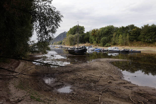 Der Rhein bei extremen Niedrigwasser: Bei Bad Honnef Rhöndorf, unterhalb des Drachenfels, liegt nicht nur das historische Rheinschiff Aalschokker Aranka im Altrheinarm an der Insel Grafenwerth auf Grund. Das Wasser in dem Seitenarm des Rhein ist so weit zurückgegangen, dass einige Boote, Kutter und Segelschiffe auf dem Trockenen liegen. (Themenbild, Symbolbild) Bonn, 16.08.2022 NRW Deutschland Copyright: xChristophxHardtx