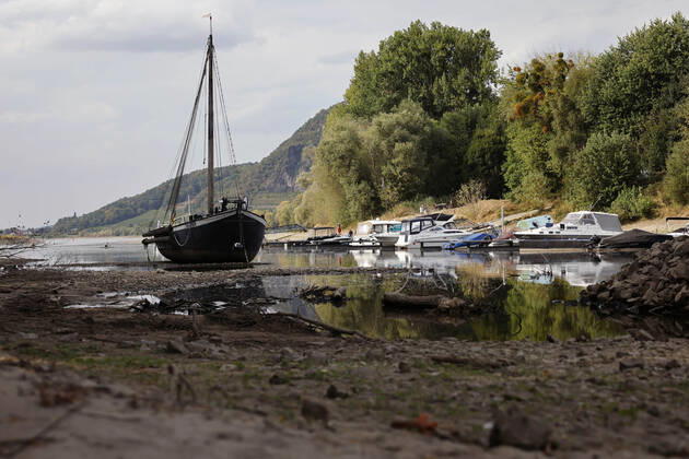 Der Rhein bei extremen Niedrigwasser: Bei Bad Honnef Rhöndorf, unterhalb des Drachenfels, liegt nicht nur das historische Rheinschiff Aalschokker Aranka im Altrheinarm an der Insel Grafenwerth auf Grund. Das Wasser in dem Seitenarm des Rhein ist so weit zurückgegangen, dass einige Boote, Kutter und Segelschiffe auf dem Trockenen liegen. (Themenbild, Symbolbild) Bonn, 16.08.2022 NRW Deutschland Copyright: xChristophxHardtx