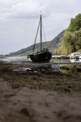 Der Rhein bei extremen Niedrigwasser: Bei Bad Honnef Rhöndorf, unterhalb des Drachenfels, liegt nicht nur das historische Rheinschiff Aalschokker Aranka im Altrheinarm an der Insel Grafenwerth auf Grund. Das Wasser in dem Seitenarm des Rhein ist so weit zurückgegangen, dass einige Boote, Kutter und Segelschiffe auf dem Trockenen liegen. (Themenbild, Symbolbild) Bonn, 16.08.2022 NRW Deutschland Copyright: xChristophxHardtx
