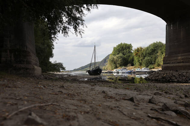 Der Rhein bei extremen Niedrigwasser: Bei Bad Honnef Rhöndorf, unterhalb des Drachenfels, liegt nicht nur das historische Rheinschiff Aalschokker Aranka im Altrheinarm an der Insel Grafenwerth auf Grund. Das Wasser in dem Seitenarm des Rhein ist so weit zurückgegangen, dass einige Boote, Kutter und Segelschiffe auf dem Trockenen liegen. (Themenbild, Symbolbild) Bonn, 16.08.2022 NRW Deutschland Copyright: xChristophxHardtx