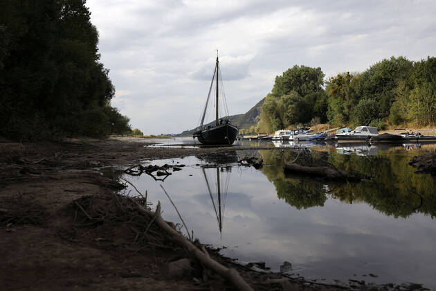 Der Rhein bei extremen Niedrigwasser: Bei Bad Honnef Rhöndorf, unterhalb des Drachenfels, liegt nicht nur das historische Rheinschiff Aalschokker Aranka im Altrheinarm an der Insel Grafenwerth auf Grund. Das Wasser in dem Seitenarm des Rhein ist so weit zurückgegangen, dass einige Boote, Kutter und Segelschiffe auf dem Trockenen liegen. (Themenbild, Symbolbild) Bonn, 16.08.2022 NRW Deutschland Copyright: xChristophxHardtx