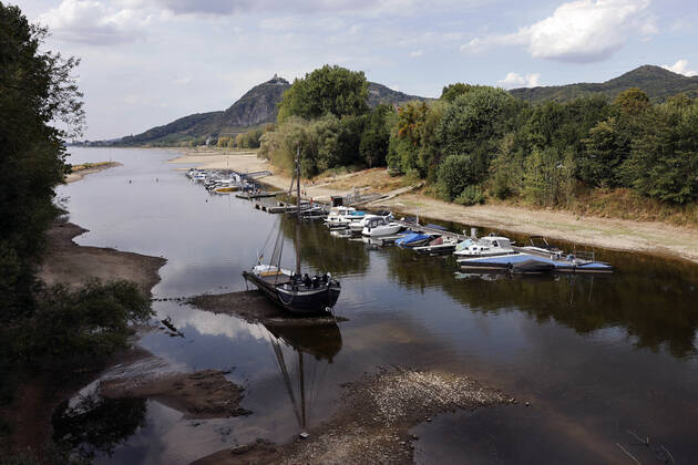 Der Rhein bei extremen Niedrigwasser: Bei Bad Honnef Rhöndorf, unterhalb des Drachenfels, liegt nicht nur das historische Rheinschiff Aalschokker Aranka im Altrheinarm an der Insel Grafenwerth auf Grund. Das Wasser in dem Seitenarm des Rhein ist so weit zurückgegangen, dass einige Boote, Kutter und Segelschiffe auf dem Trockenen liegen. (Themenbild, Symbolbild) Bonn, 16.08.2022 NRW Deutschland Copyright: xChristophxHardtx