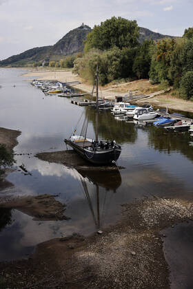 Der Rhein bei extremen Niedrigwasser: Bei Bad Honnef Rhöndorf, unterhalb des Drachenfels, liegt nicht nur das historische Rheinschiff Aalschokker Aranka im Altrheinarm an der Insel Grafenwerth auf Grund. Das Wasser in dem Seitenarm des Rhein ist so weit zurückgegangen, dass einige Boote, Kutter und Segelschiffe auf dem Trockenen liegen. (Themenbild, Symbolbild) Bonn, 16.08.2022 NRW Deutschland Copyright: xChristophxHardtx