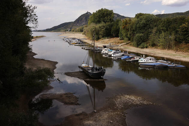 Der Rhein bei extremen Niedrigwasser: Bei Bad Honnef Rhöndorf, unterhalb des Drachenfels, liegt nicht nur das historische Rheinschiff Aalschokker Aranka im Altrheinarm an der Insel Grafenwerth auf Grund. Das Wasser in dem Seitenarm des Rhein ist so weit zurückgegangen, dass einige Boote, Kutter und Segelschiffe auf dem Trockenen liegen. (Themenbild, Symbolbild) Bonn, 16.08.2022 NRW Deutschland Copyright: xChristophxHardtx
