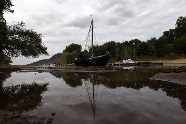 Der Rhein bei extremen Niedrigwasser: Bei Bad Honnef Rhöndorf, unterhalb des Drachenfels, liegt nicht nur das historische Rheinschiff Aalschokker Aranka im Altrheinarm an der Insel Grafenwerth auf Grund. Das Wasser in dem Seitenarm des Rhein ist so weit zurückgegangen, dass einige Boote, Kutter und Segelschiffe auf dem Trockenen liegen. (Themenbild, Symbolbild) Bonn, 16.08.2022 NRW Deutschland Copyright: xChristophxHardtx
