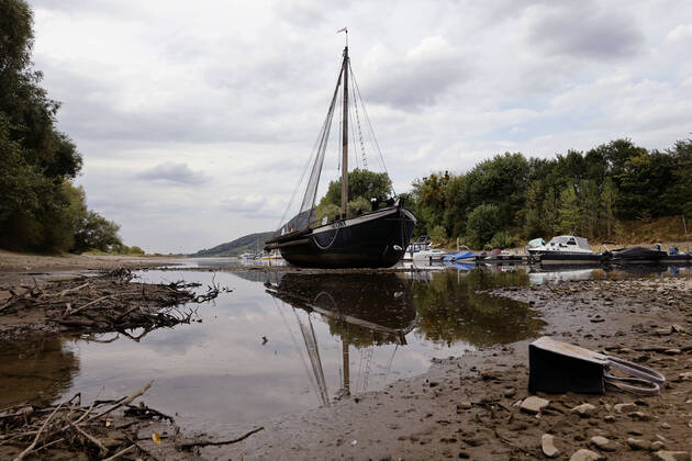 Der Rhein bei extremen Niedrigwasser: Bei Bad Honnef Rhöndorf, unterhalb des Drachenfels, liegt nicht nur das historische Rheinschiff Aalschokker Aranka im Altrheinarm an der Insel Grafenwerth auf Grund. Das Wasser in dem Seitenarm des Rhein ist so weit zurückgegangen, dass einige Boote, Kutter und Segelschiffe auf dem Trockenen liegen. (Themenbild, Symbolbild) Bonn, 16.08.2022 NRW Deutschland Copyright: xChristophxHardtx